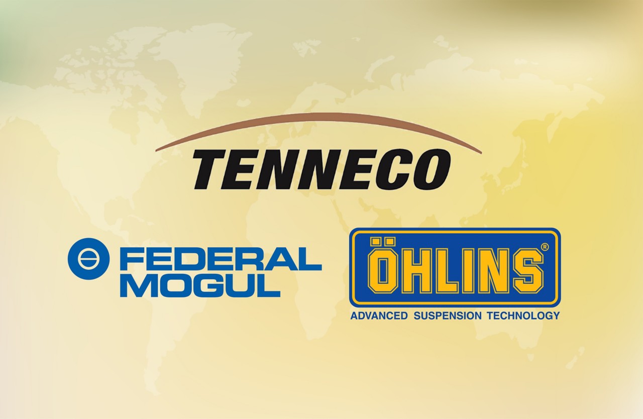 Inflorescence chokeberry on blurred background